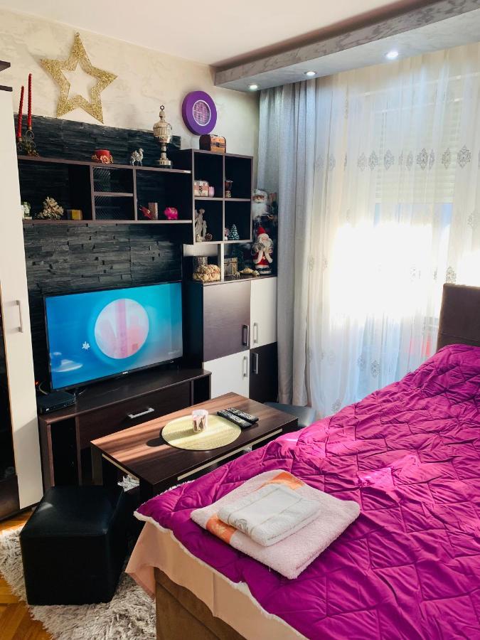 Appartamento Apartman Valjevo Dk Esterno foto