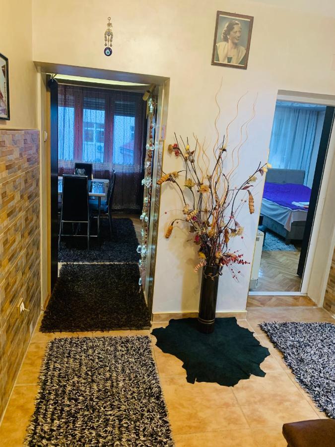 Appartamento Apartman Valjevo Dk Esterno foto